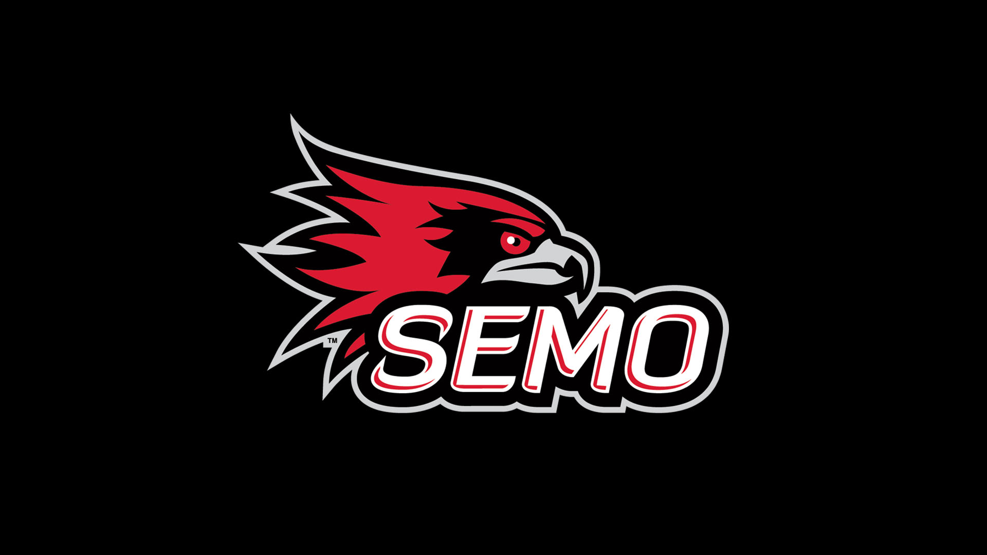 SEMO New Logo Banner