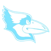 Opponent Logo
