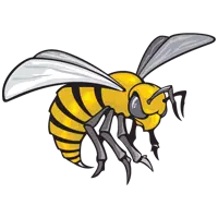 Opponent Logo