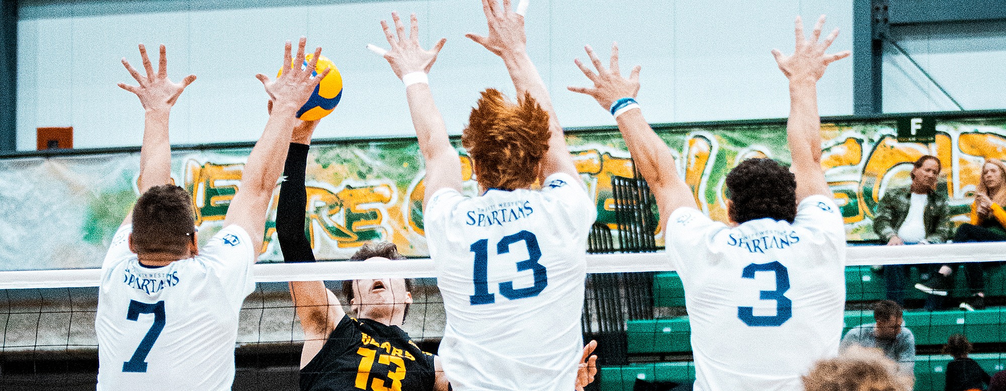 MVB-ALB-block-banner-1