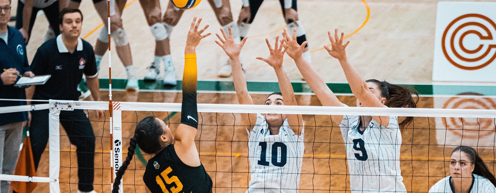 WVB-Alberta-day2-banner