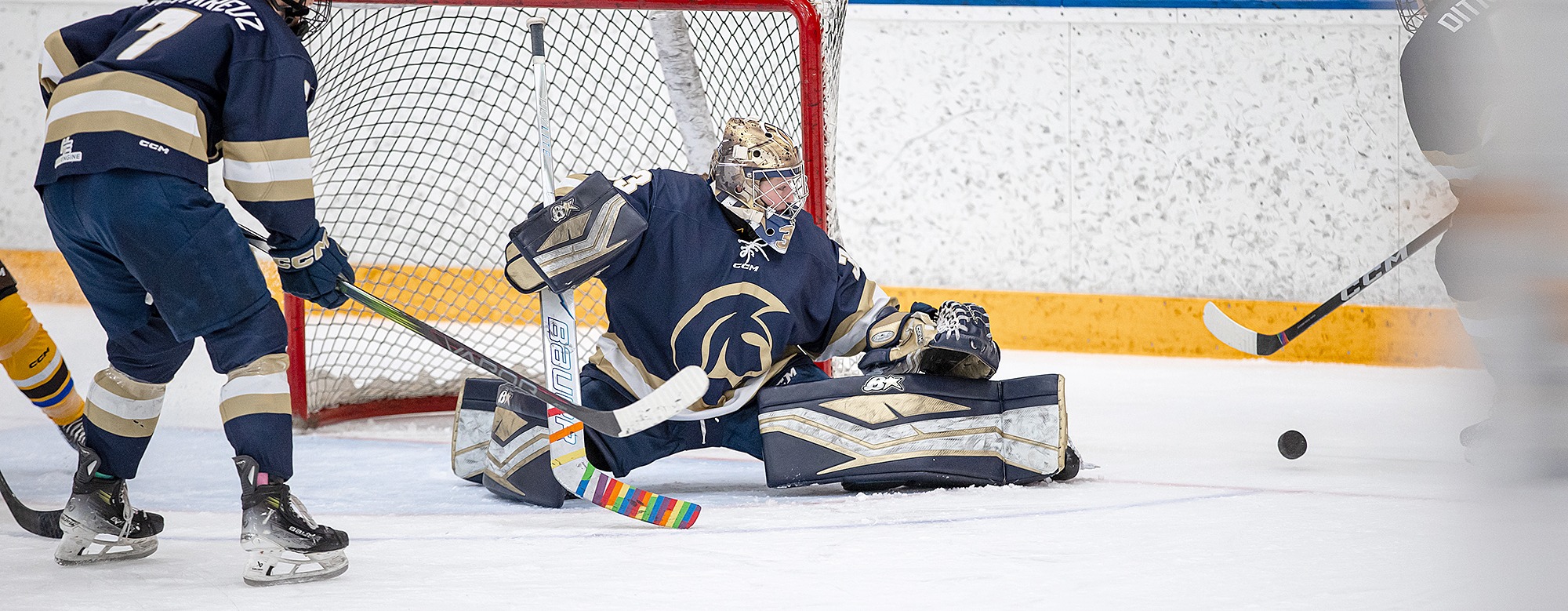 WH-Davidson-MAN-banner