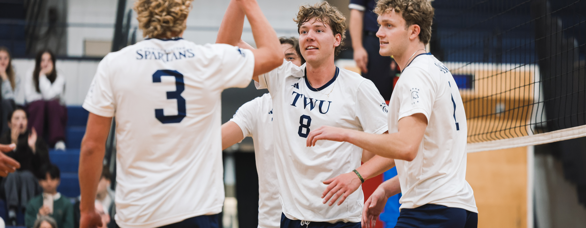 mvb web