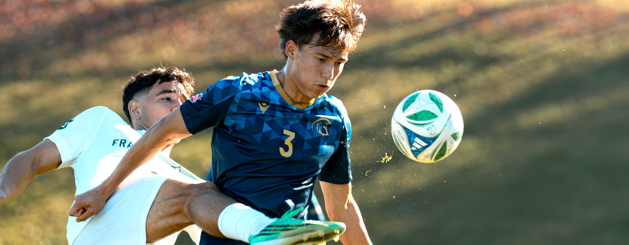 MS-at-UFV-banner