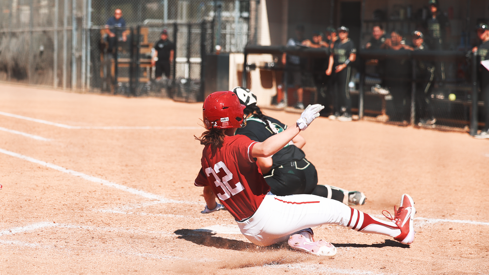 Sydney Steele - Softball - Stanford University Athletics