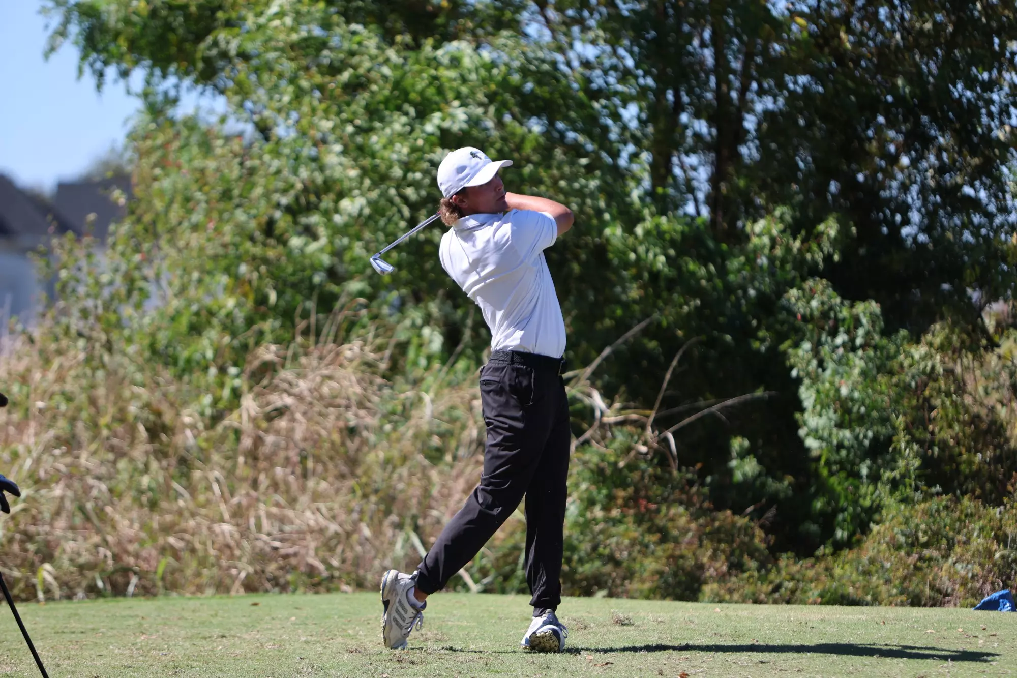 Werynski