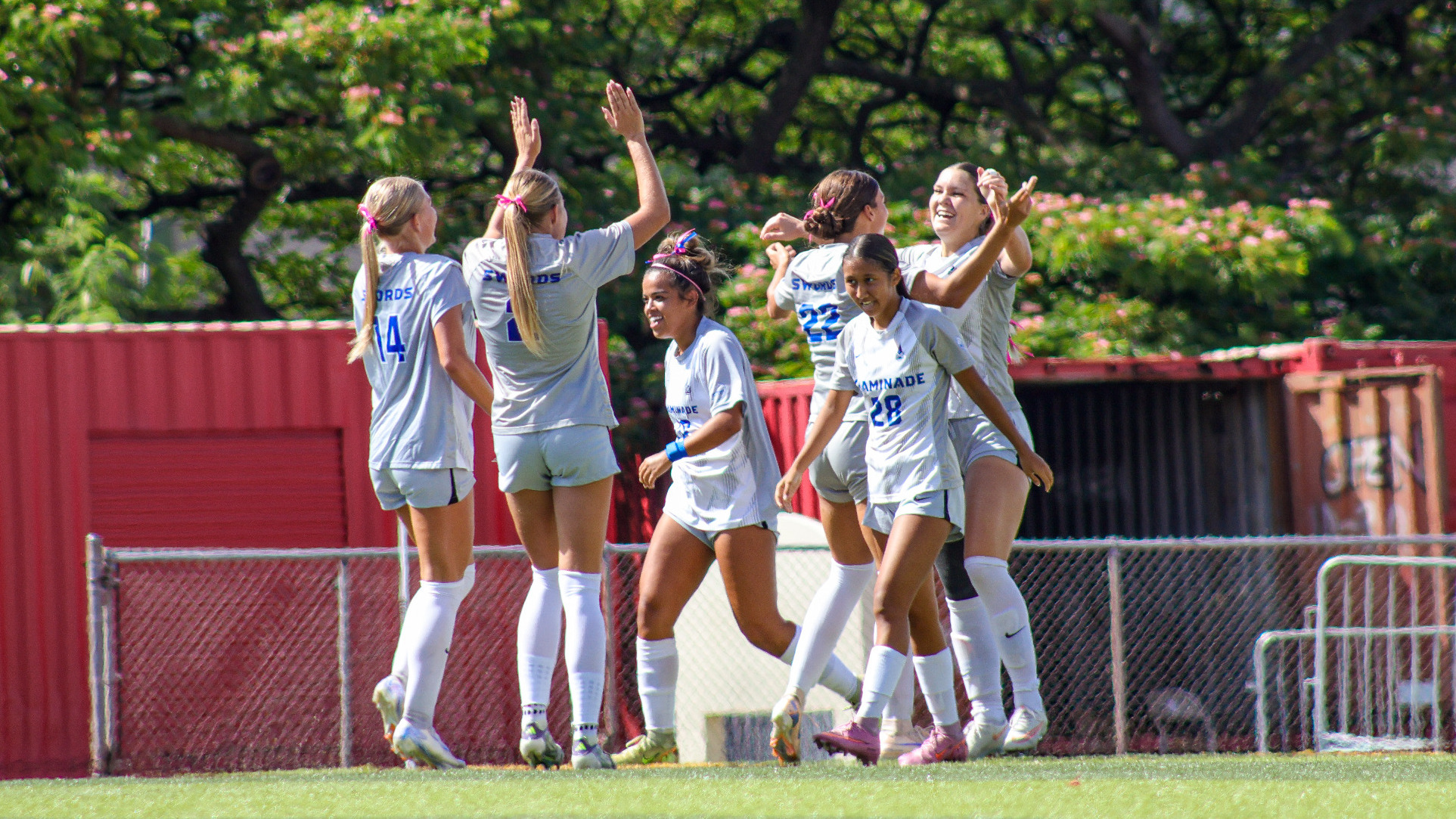 WSOC celebrates Shannon Healy goal vs. Westmont