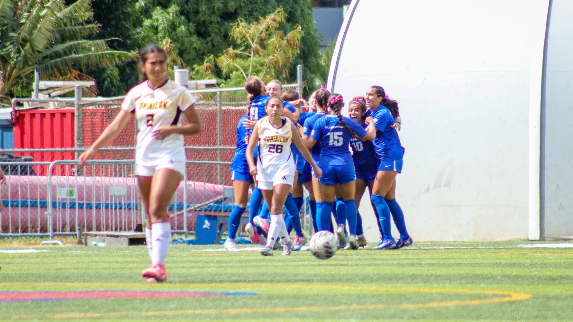 WSOC celebrates goal vs. Dominican