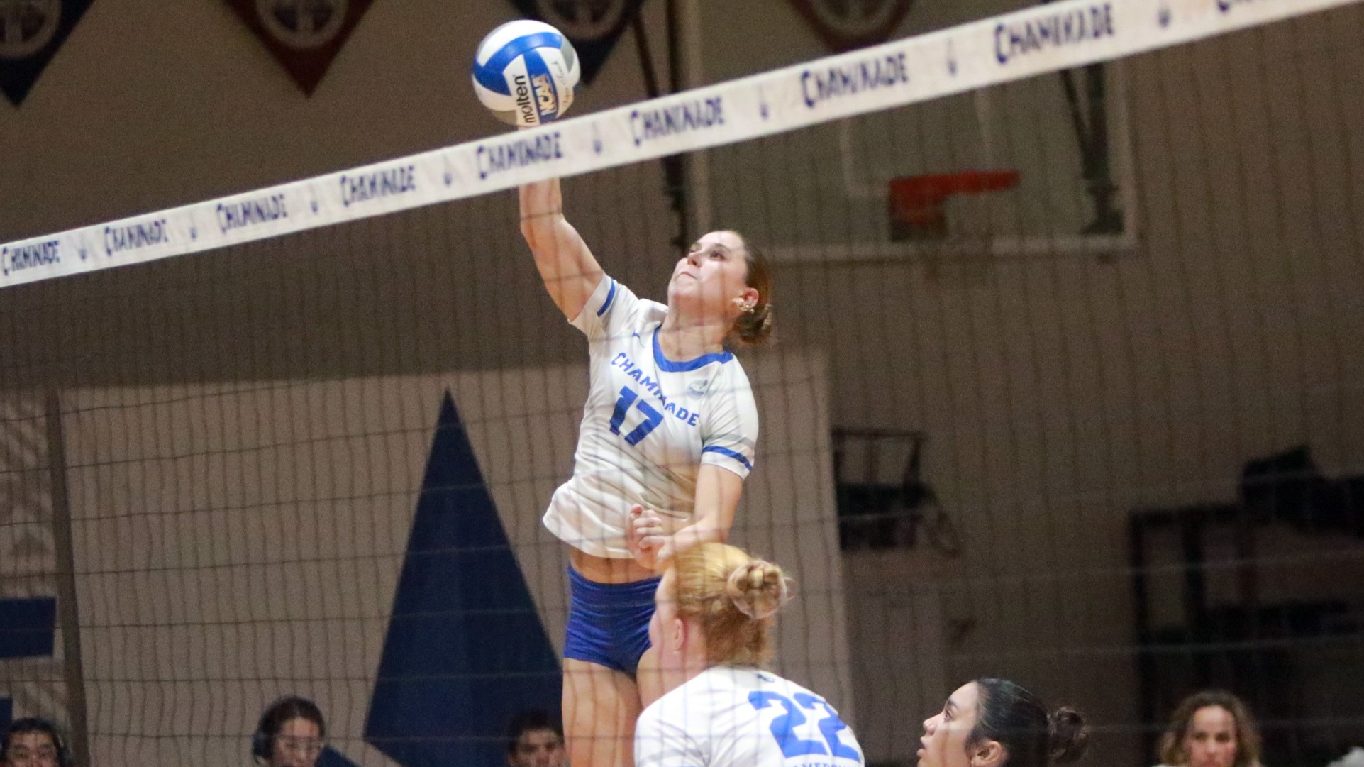 Mykelle Brainard attack vs. Jessup