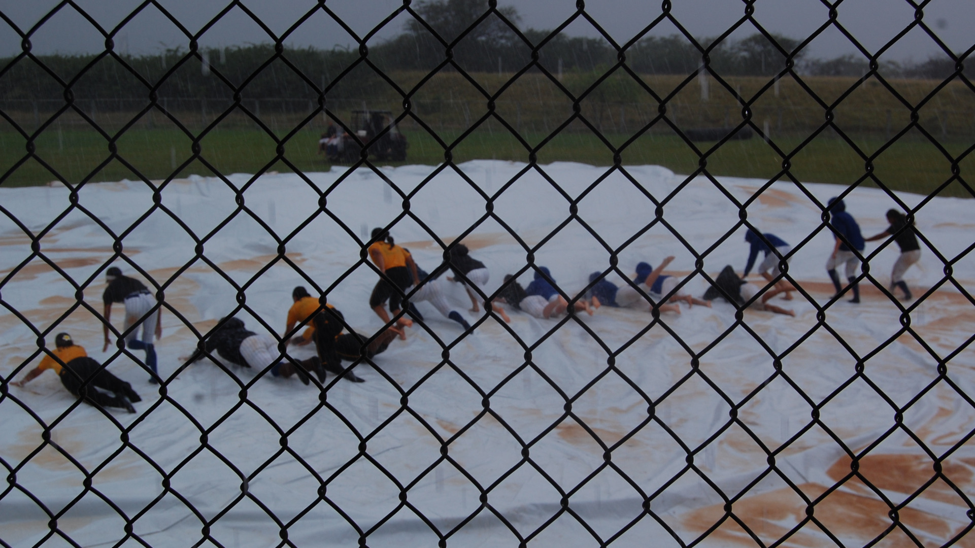 Chaminade and Dominican softball in rainout