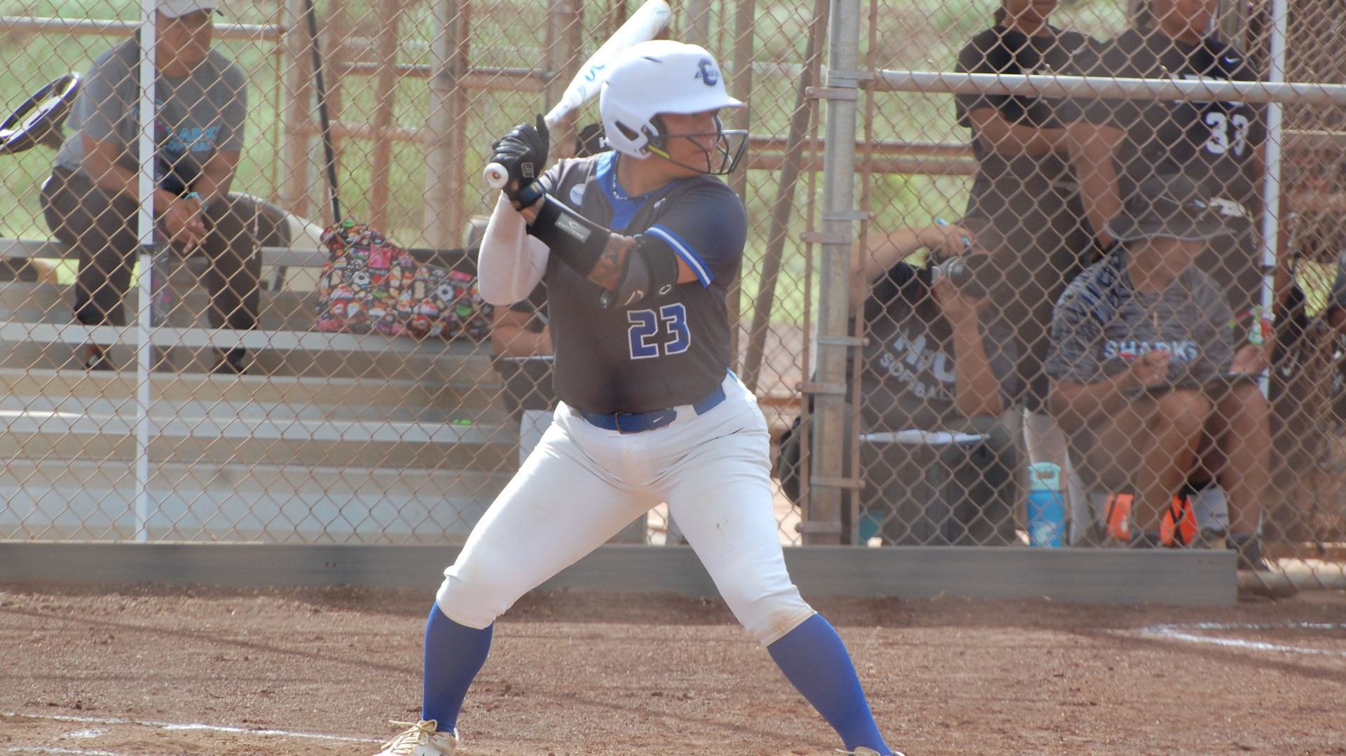 Isabel Rodriguez at Hawai'i Pacific