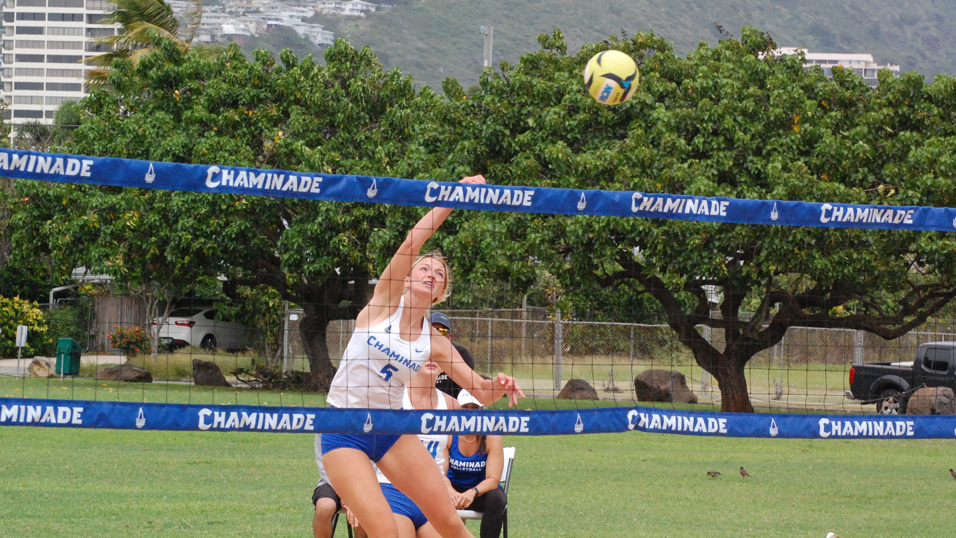 Audrah Johnson vs. Hawai'i Pacific