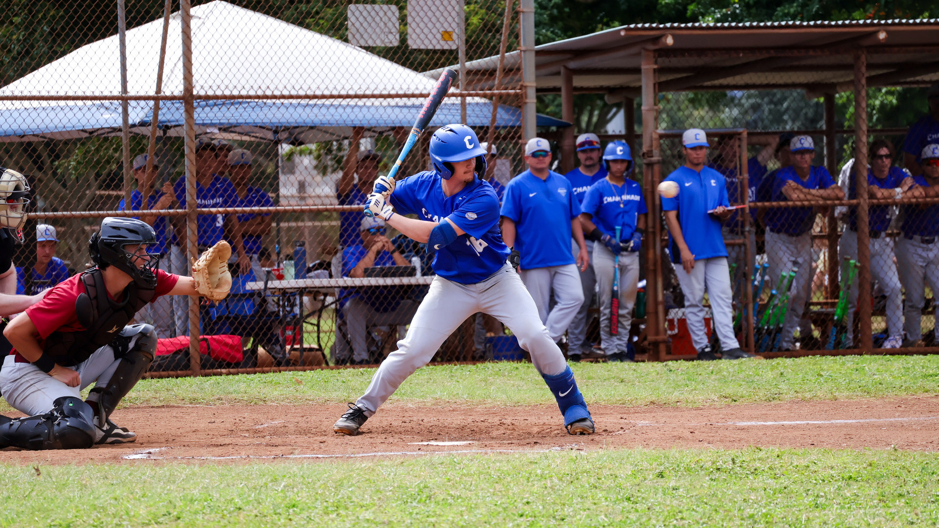 Taylor Ayala vs. Azusa Pacific