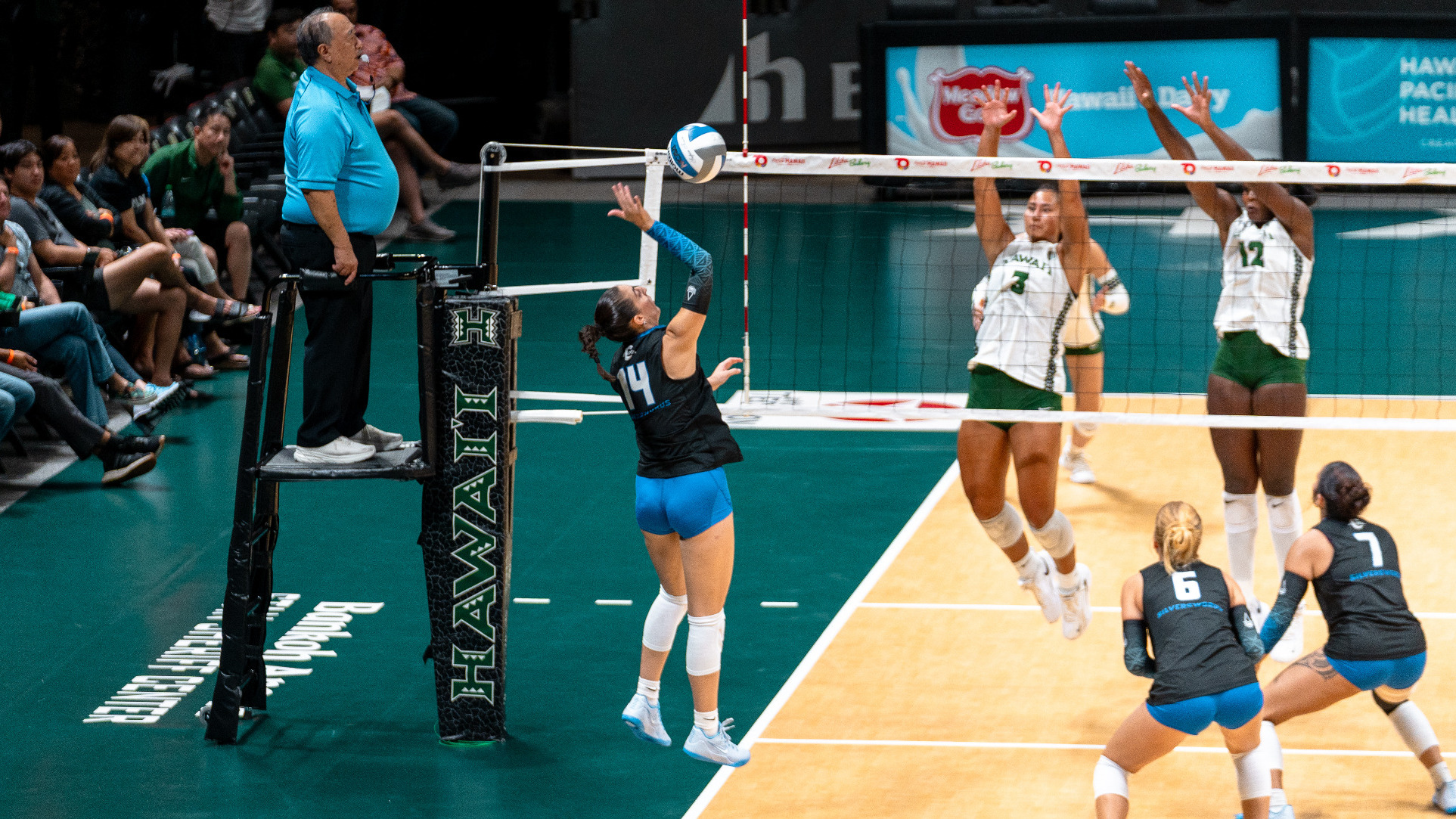 Siria Guerini attack at Hawai'i