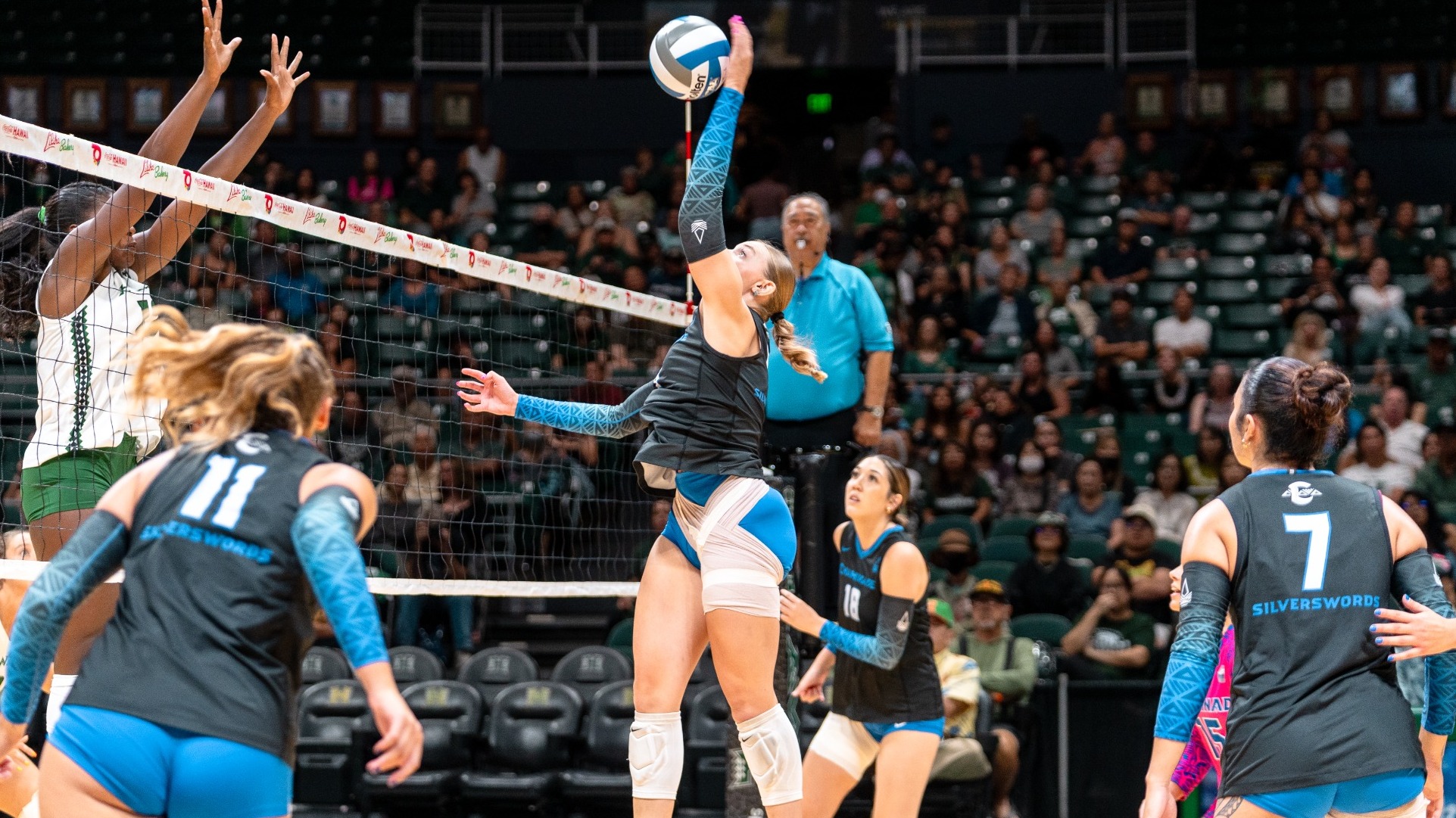 Allison Panter attack at Hawai'i