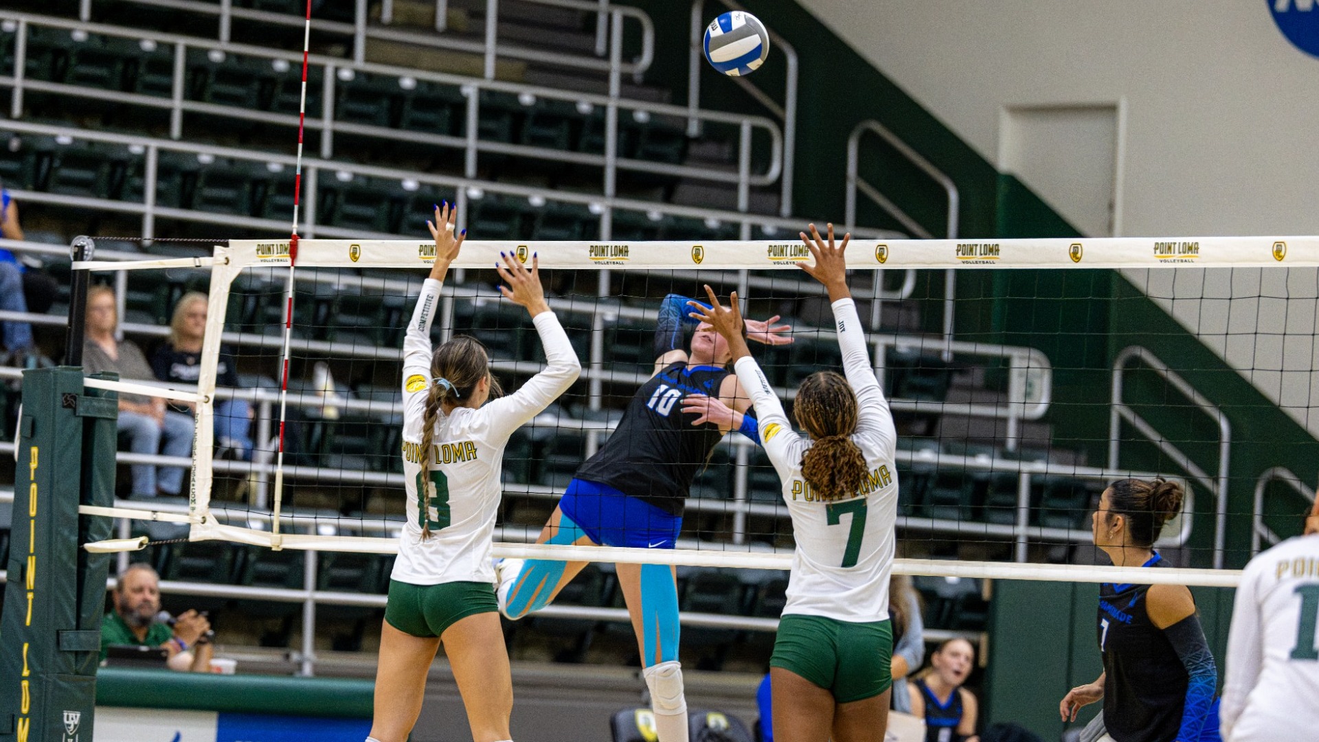 Reina Krueger attack at Point Loma
