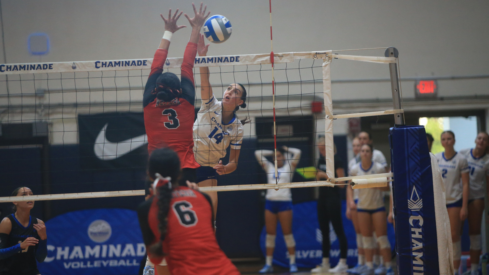 Siria Guerini attack vs. Western Colorado