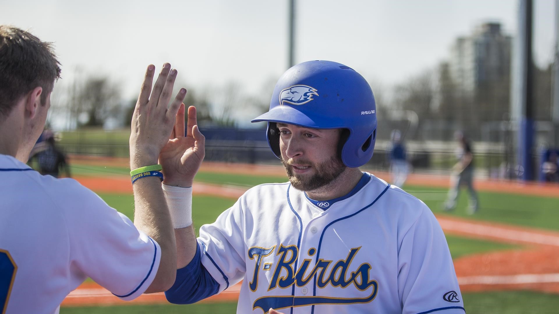 Mitch Robinson Baseball University of British Columbia Athletics