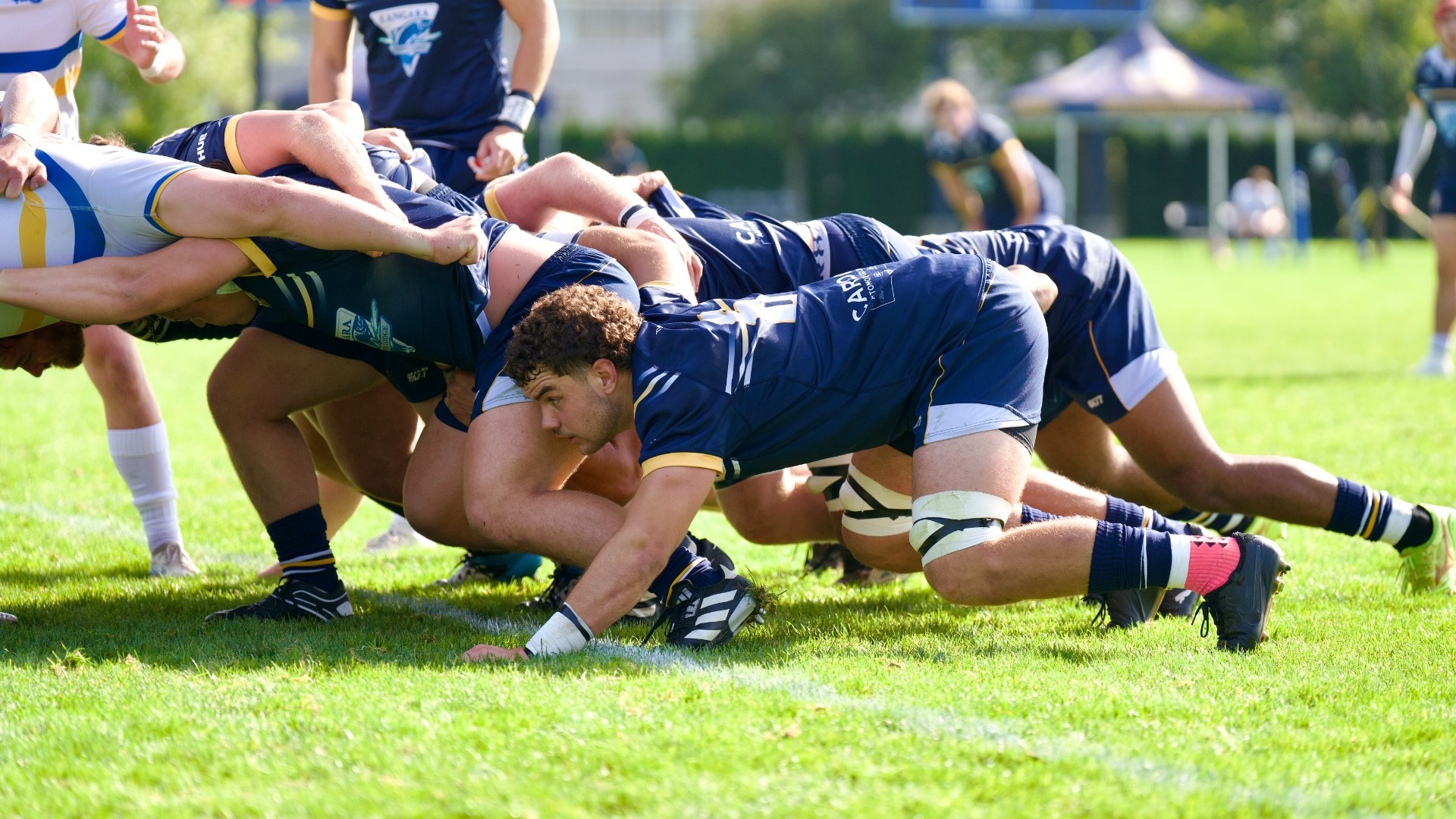 The T-Birds preparing for a scrum, low to the ground