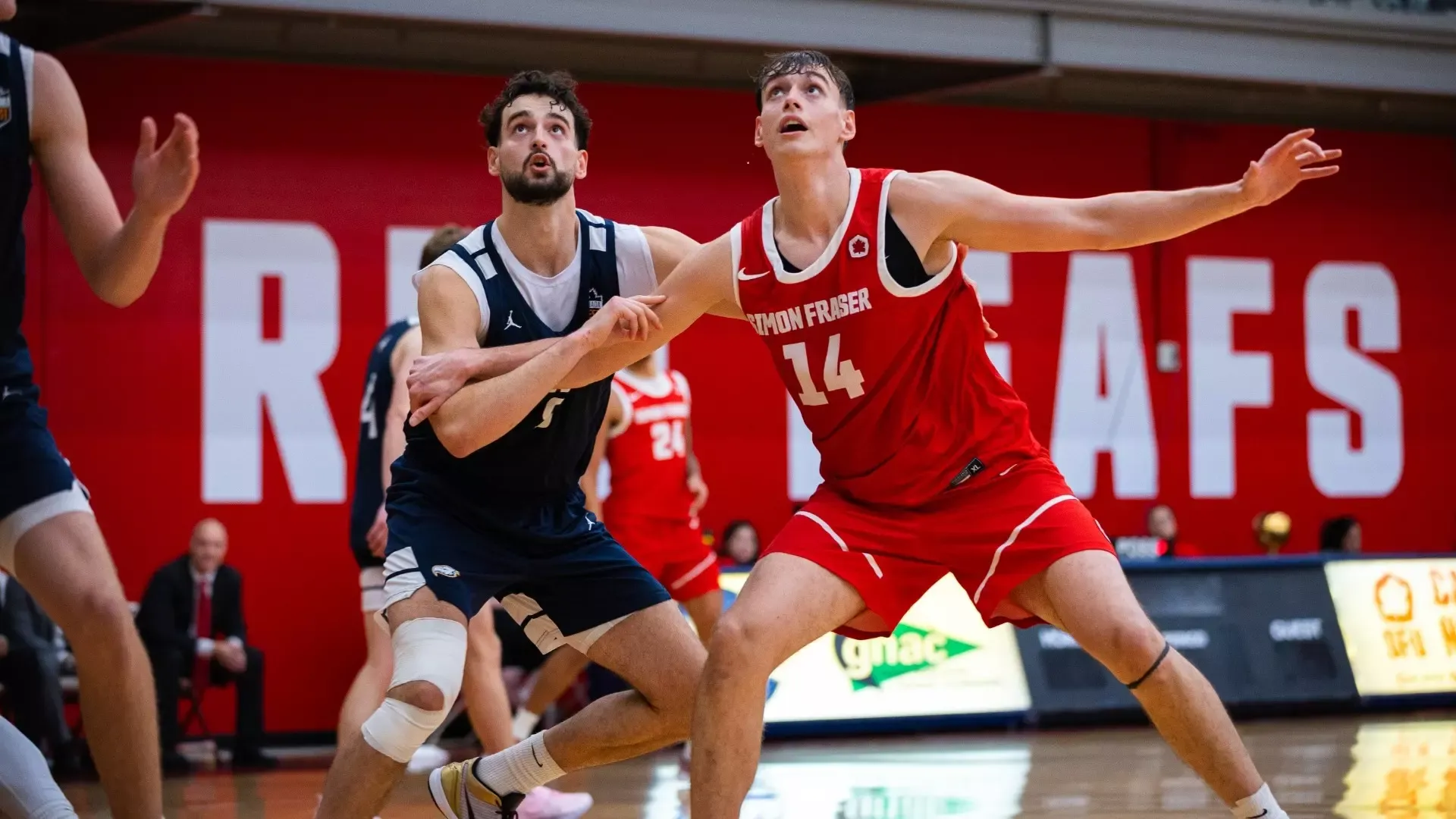 Toni Maric battles for position for a rebound against his brother Roko