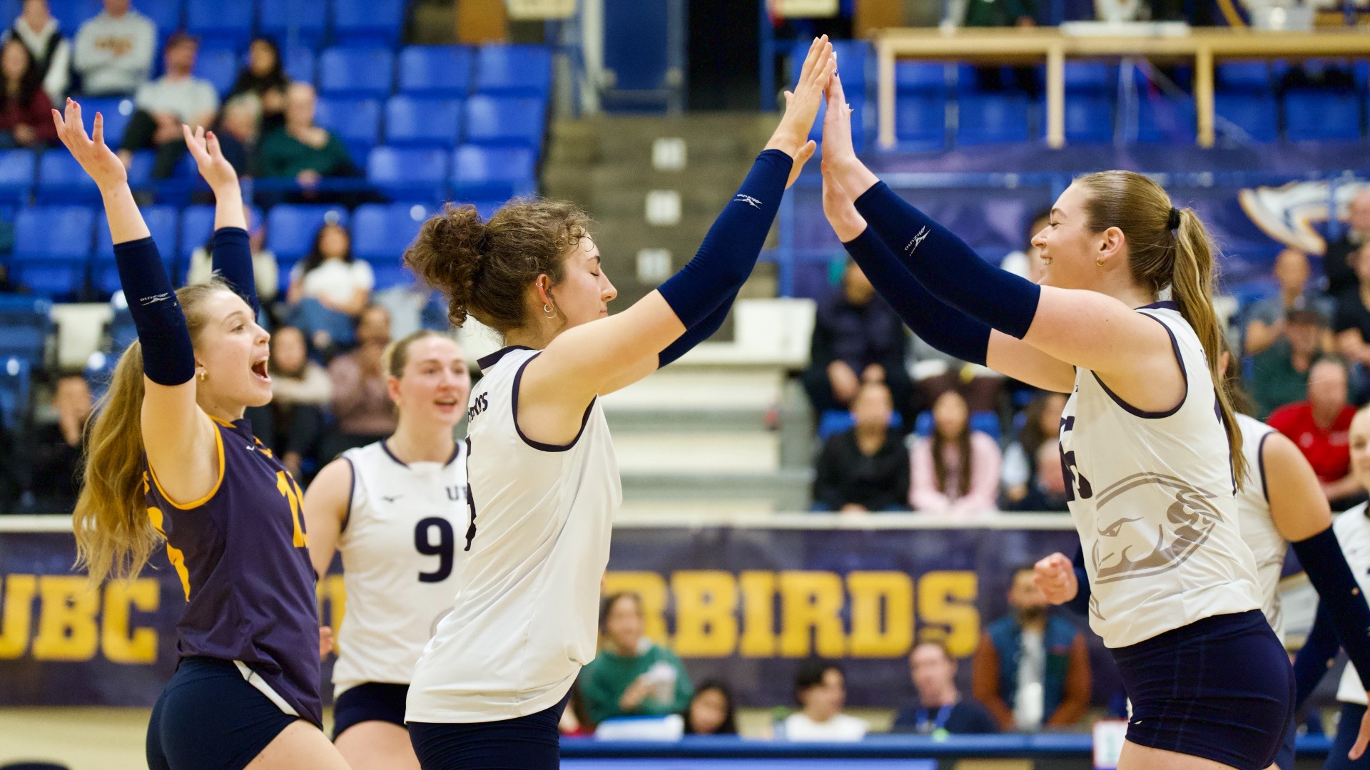 Two UBC Thunderbirds women's volleyball players tenting their hands in a two-handed overhead high five, a third celebrates next to them with both of her hands in the air