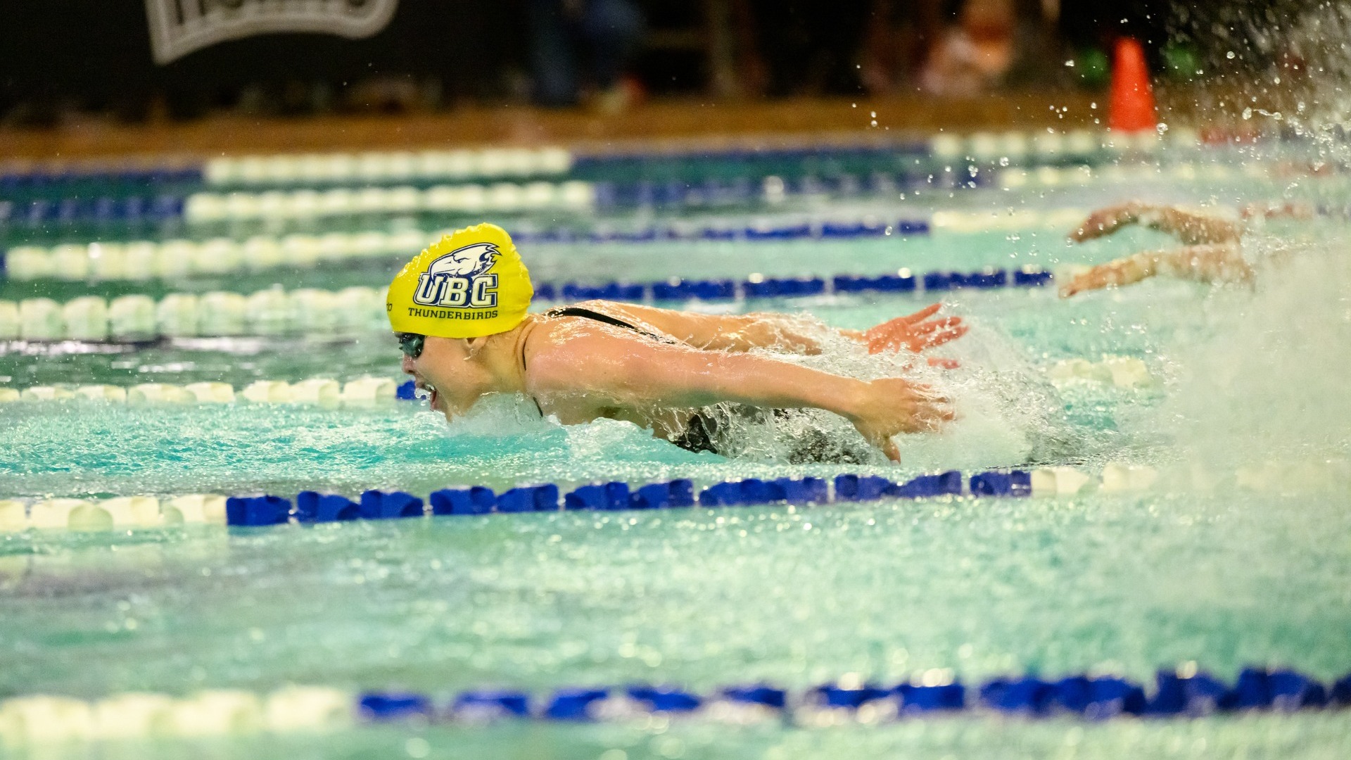 LETHBRIDGE, Alberta - NOVEMBER 28, 2025: 50m Butterfly, Canada West Swimming Championships.\r\rPhoto credit: Blair Takahashi/COACHTAK