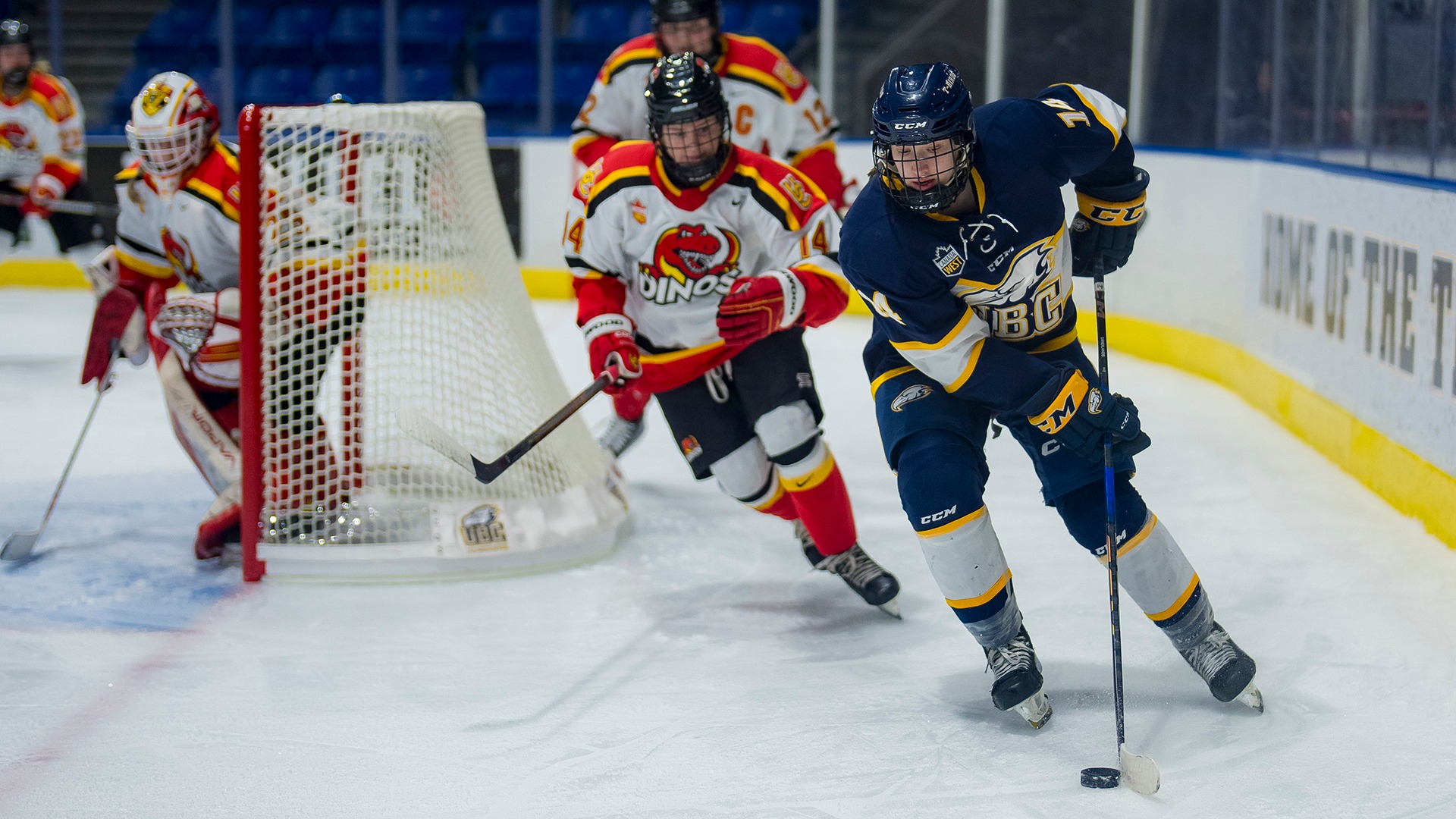 February 15, 2025:  Action during a women's ice hockey game between the University of British Columbia Thunderbirds and Univeristy of Calgary Dinos at Thunderbird Arena in the Doug Mitchell Winter Sports Centre on the campus of the University of British Columbia, Vancouver, BC, Canada.  ****(Photo by Bob Frid/UBC Athletics 2025 All Rights Reserved)****