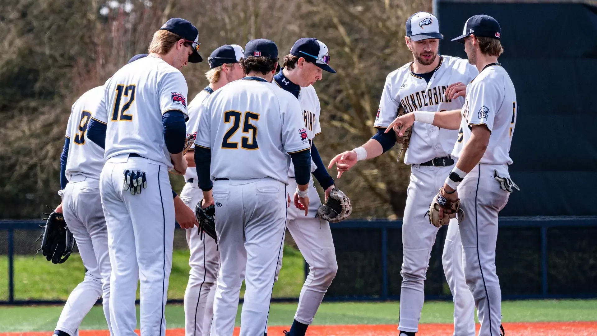 A group of T-Birds huddle together on the mound