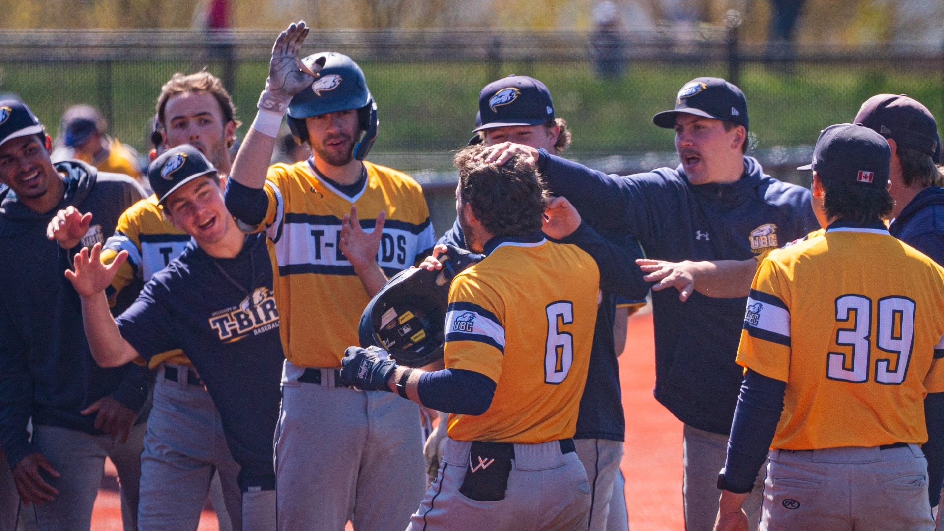 Kaden Zawrony gets high fives, pats and taps from his teammates as he goes down a line of them celebrating after hitting a homerun