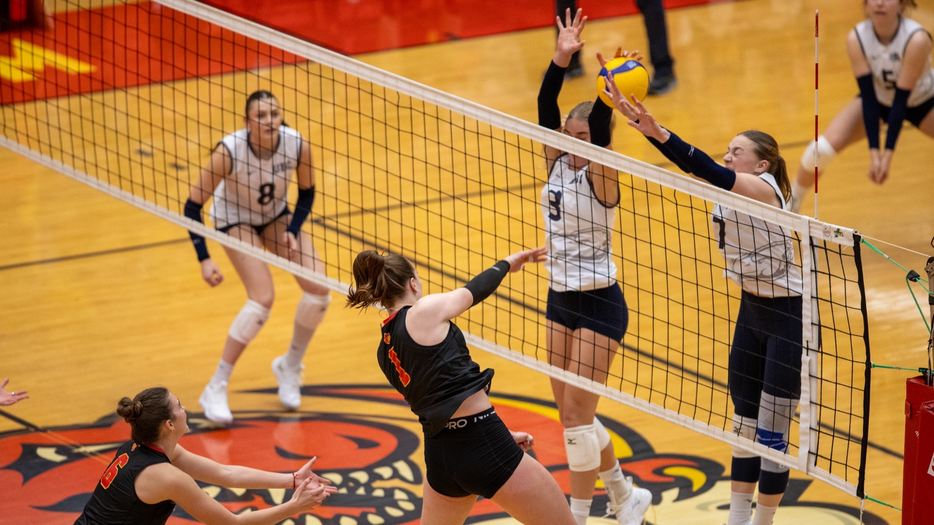 Two UBC players jump up to block a Calgary attack