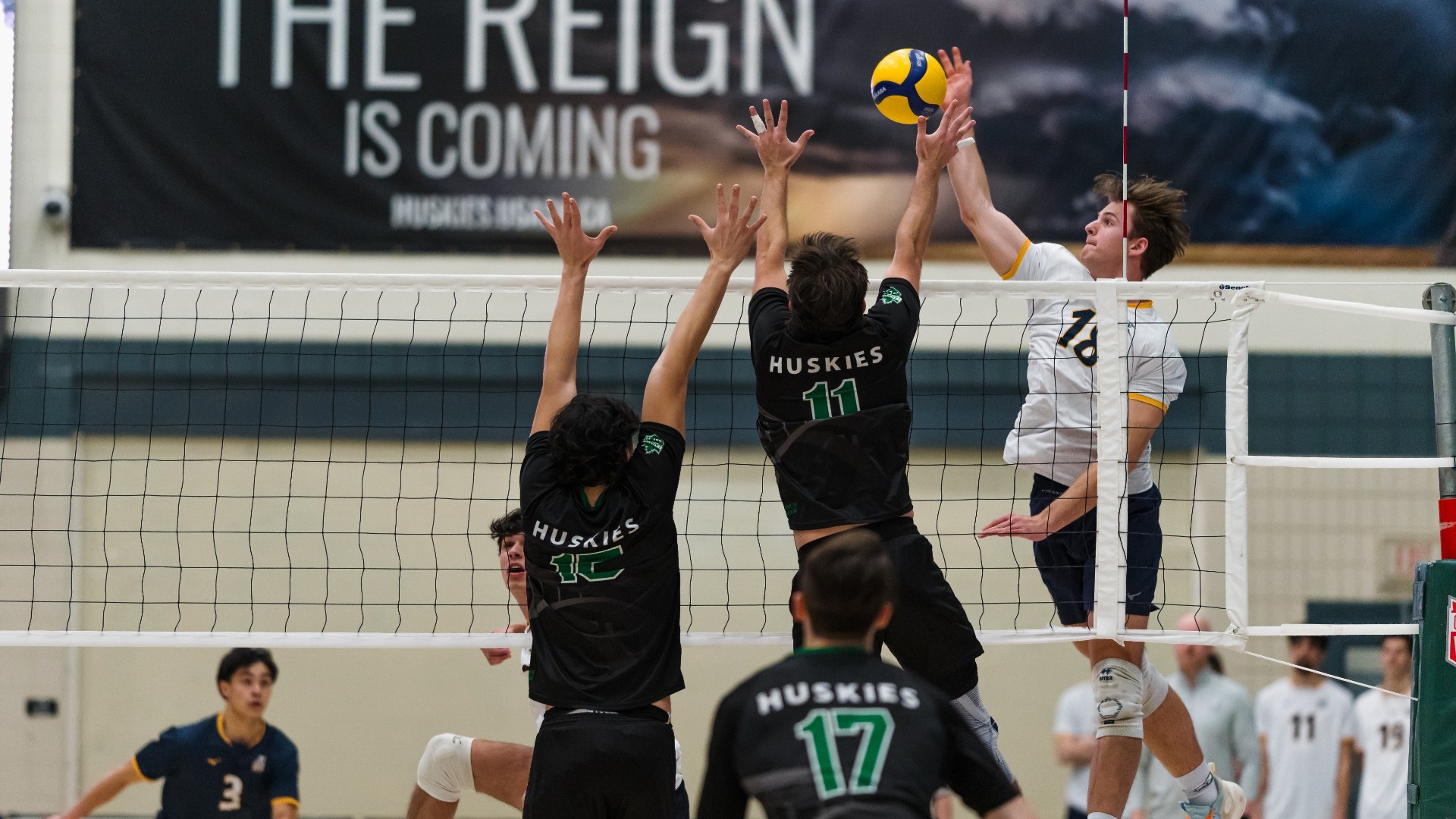 UBC Thunderbirds outside hitter Alex Borowski, seen from the opposite baseline, in the air with his head over the net, swinging and making contact with the ball with his right hand as two Saskatchewan Huskies players rise to try to block the attack