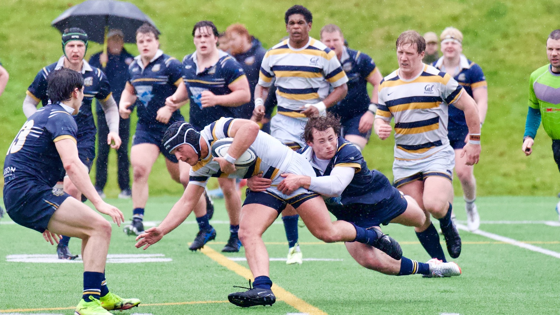 A diving UBC player is in the middle of tackling a California player carrying the ball