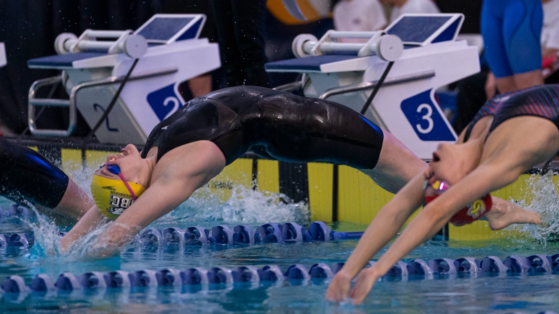 Bridget Burton diving into the water for a backstroke event at the 2025 University Cup Pacific