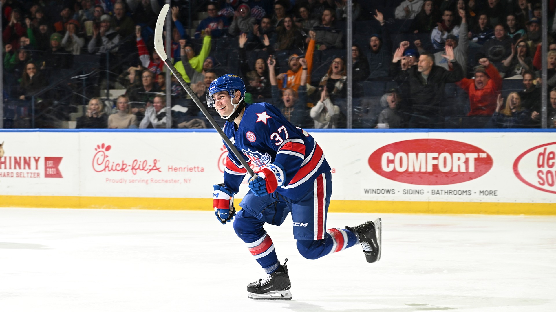 Chris Douglas #37ROCHESTER, NEW YORK - MARCH 13 :: Rochester Americans v Toronto Marlies :: March 13, 2026 in Blue Cross Arena, Rochester, NY, USA (Photo by Micheline Veluvolu)
