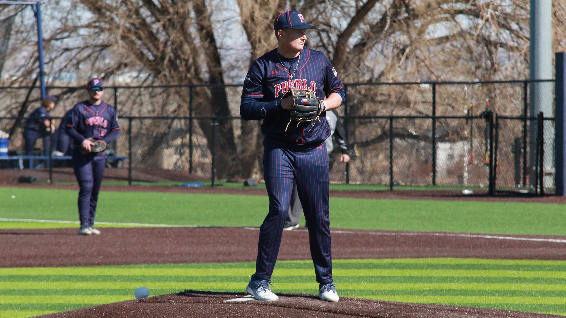 Nick Perry Baseball Colorado State University Pueblo