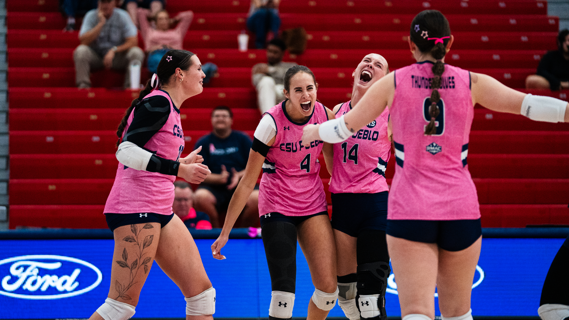 Dig Pink Night Celebration