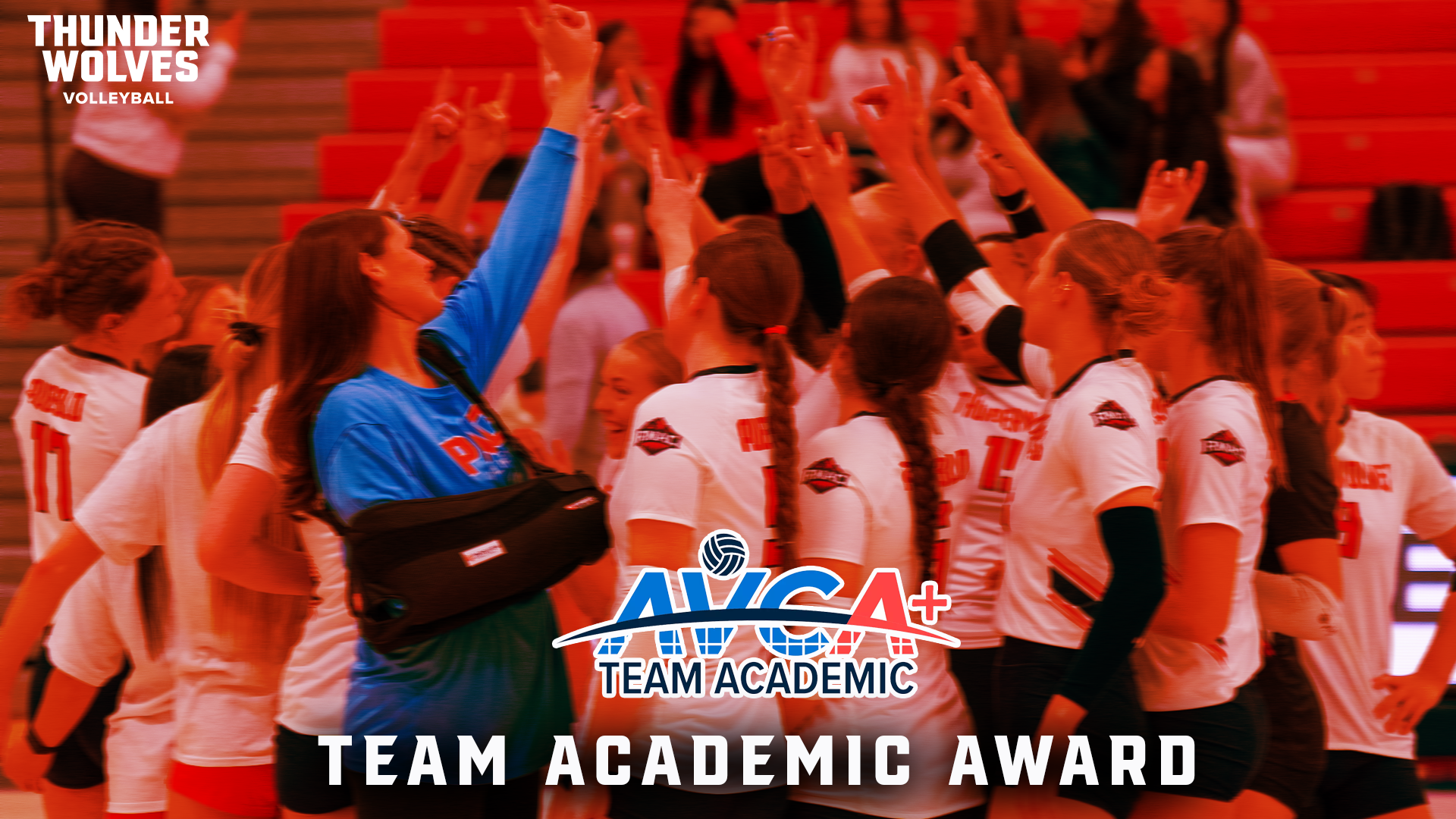AVCA Team Academic Award