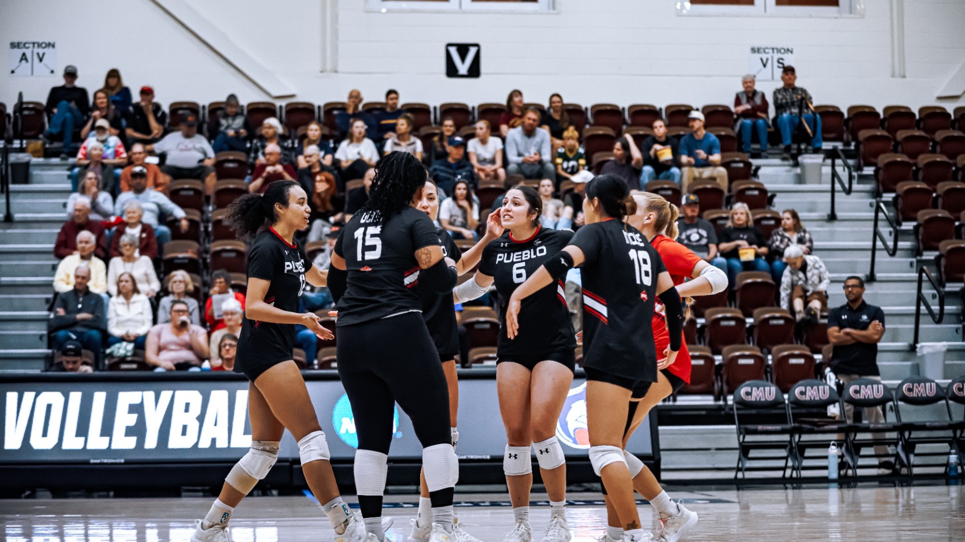 Volleyball Huddle