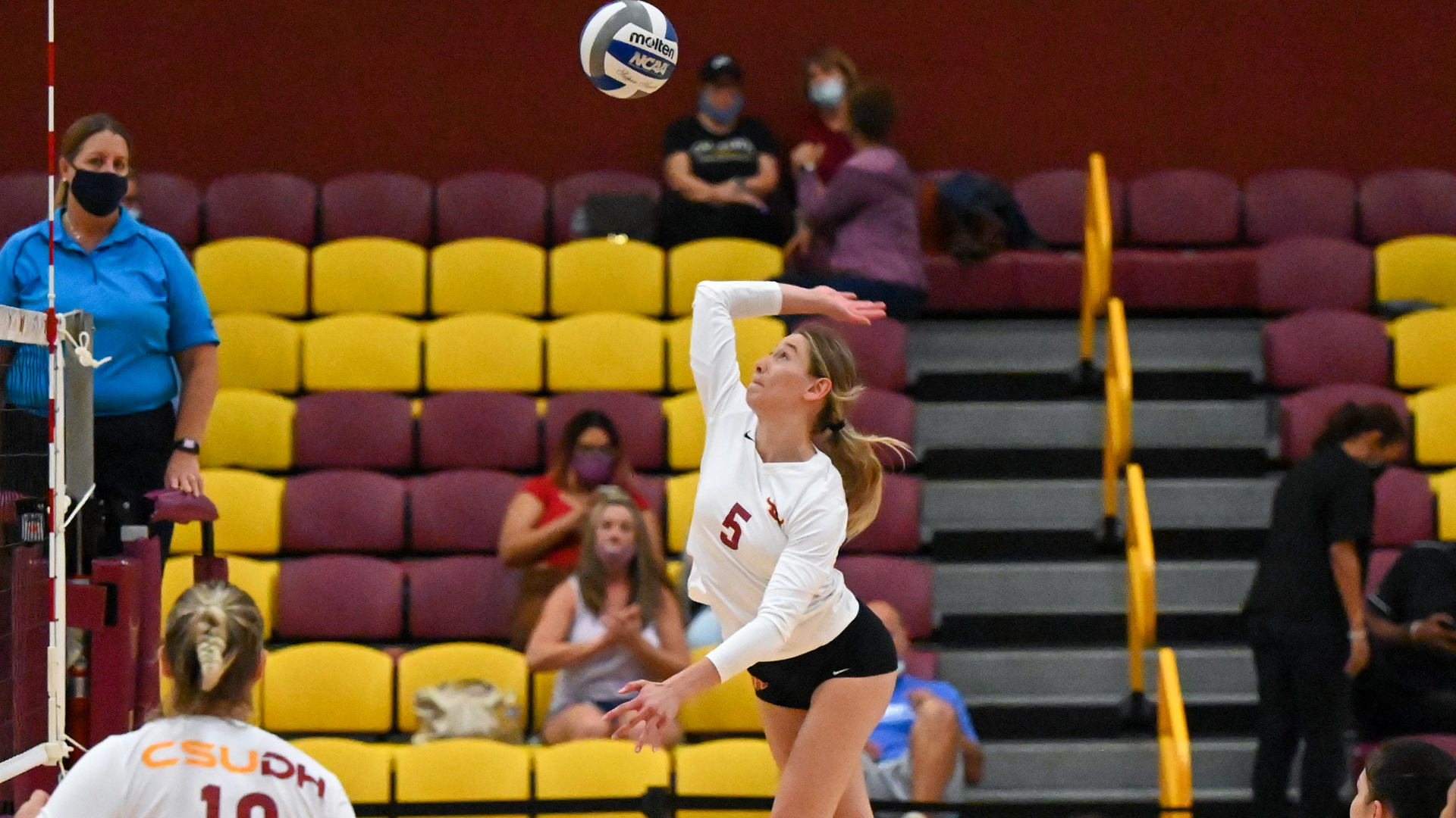Bailey Fuches Volleyball Cal State Dominguez Hills Athletics