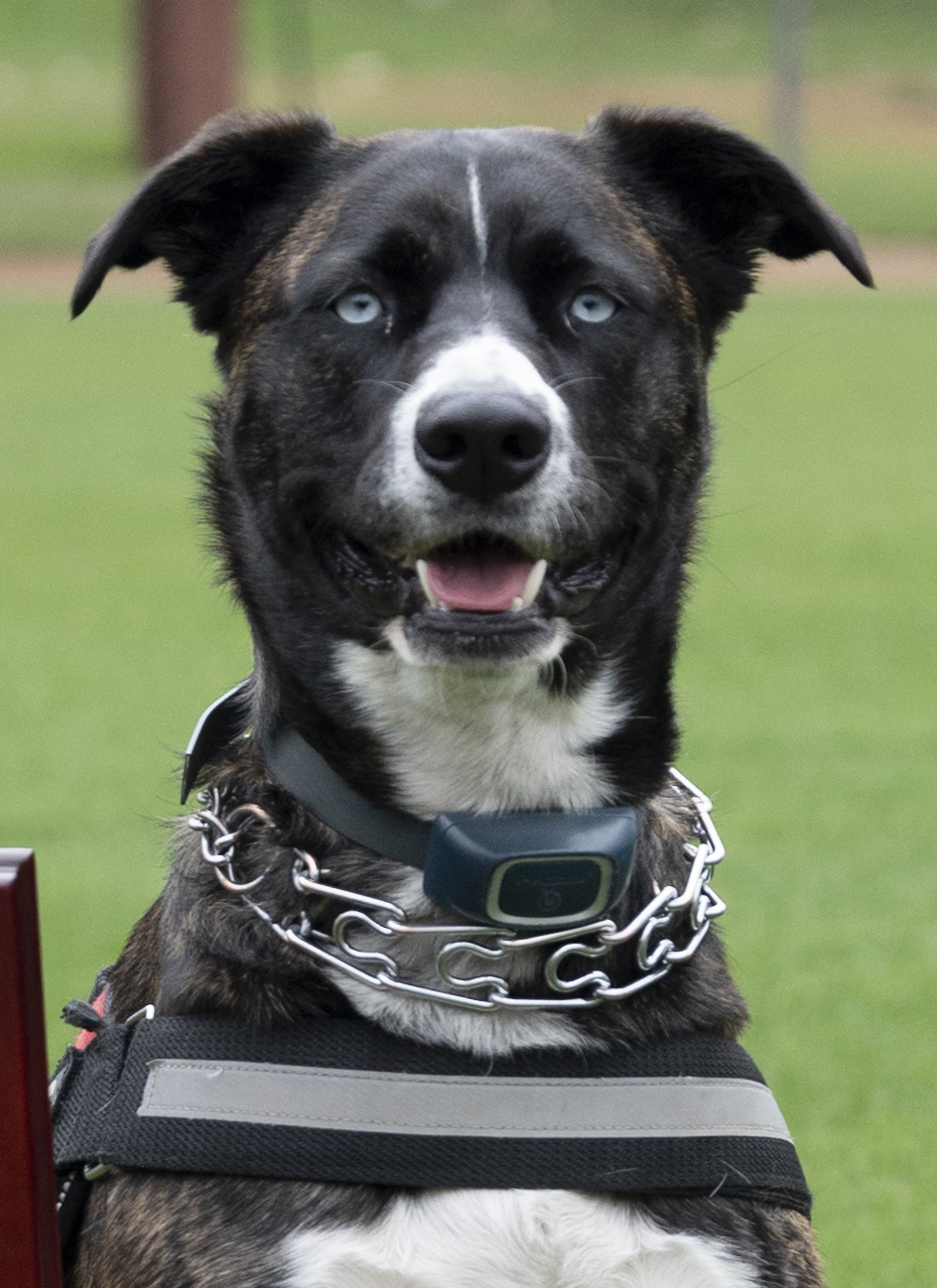 Kona