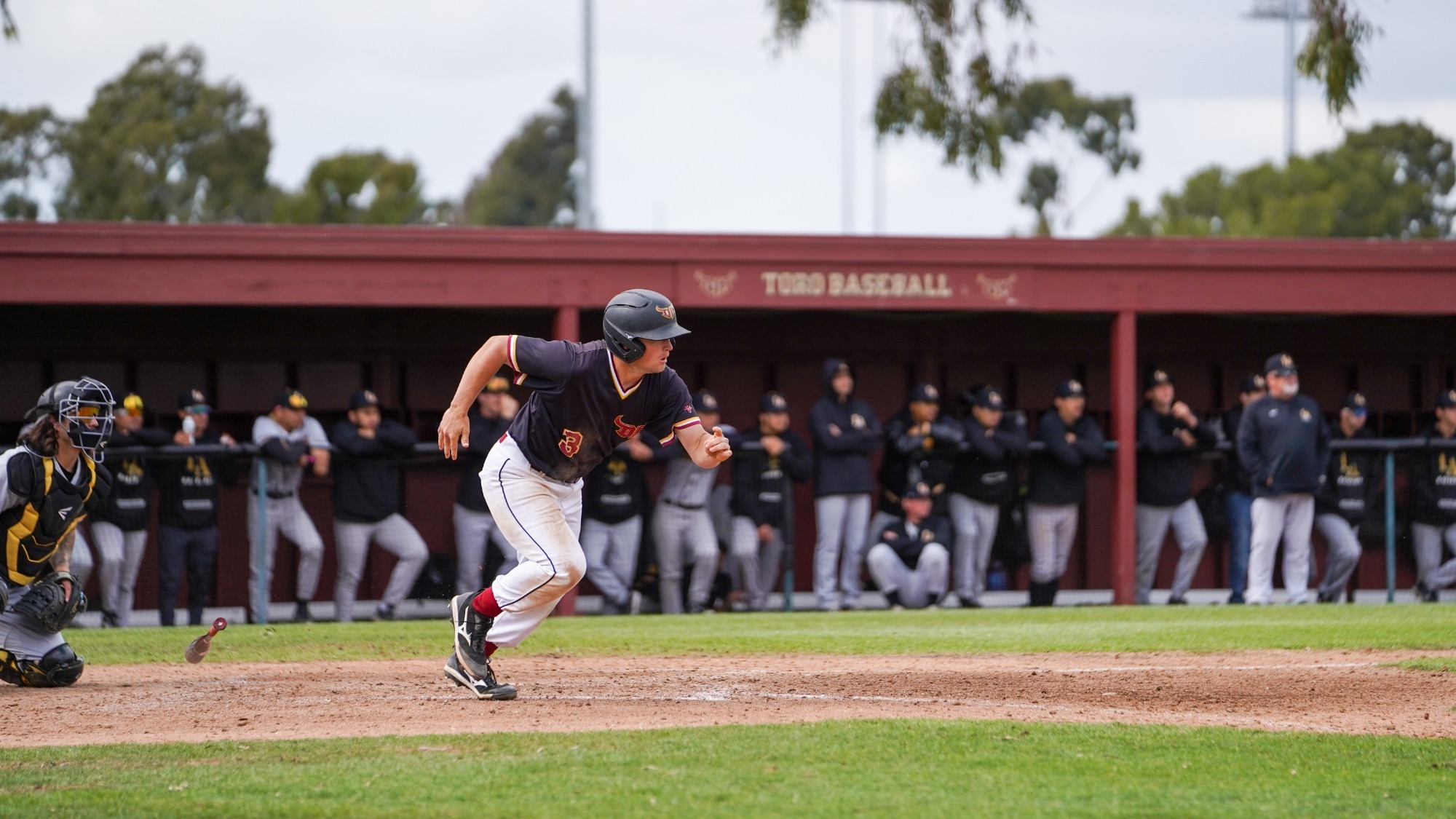 Toros Sweep Golden Eagles Behind Smelko's 7-for-8, 7 Run, 5 RBI Effort ...
