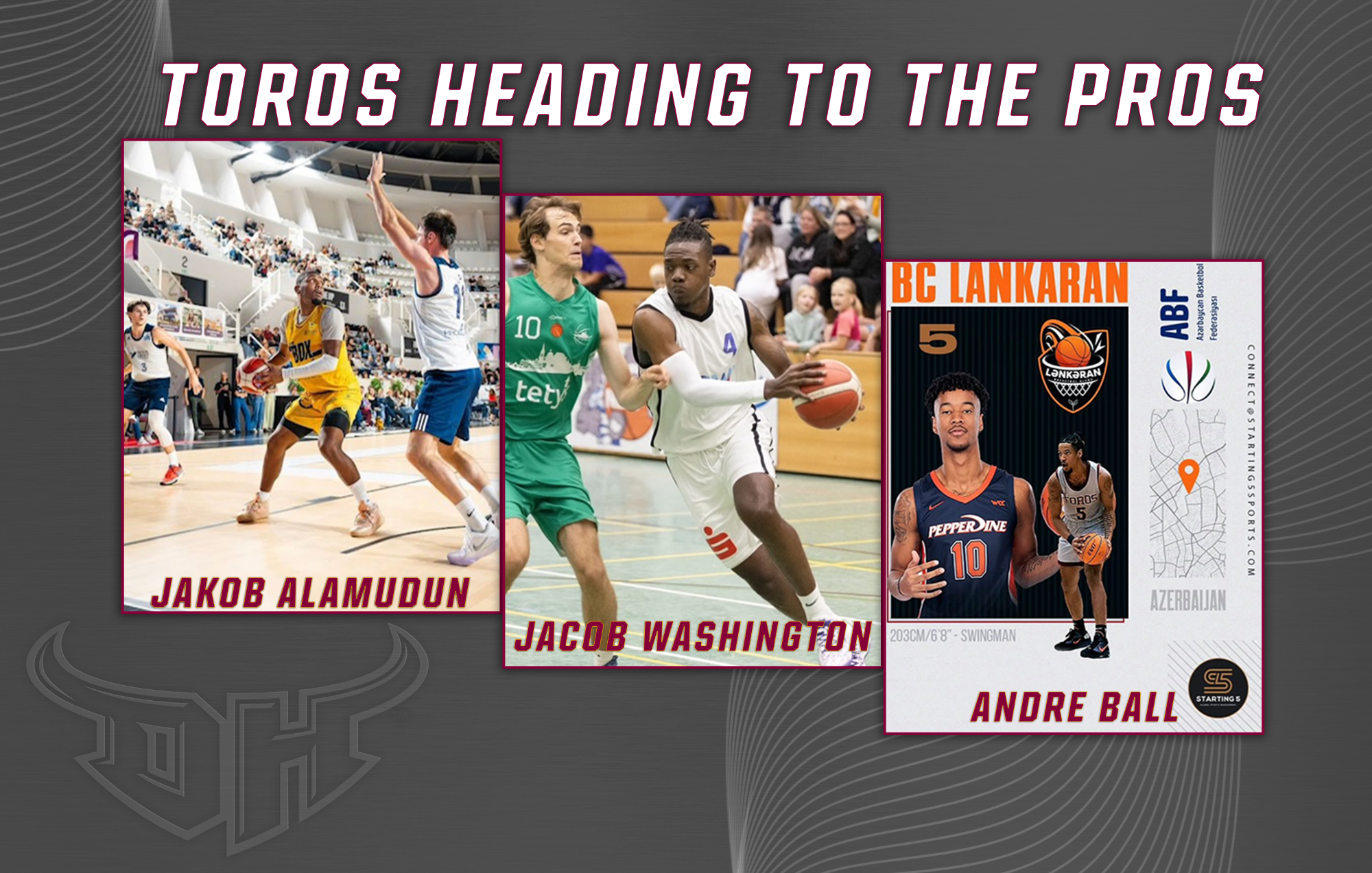 Men's Basketball Professionals 