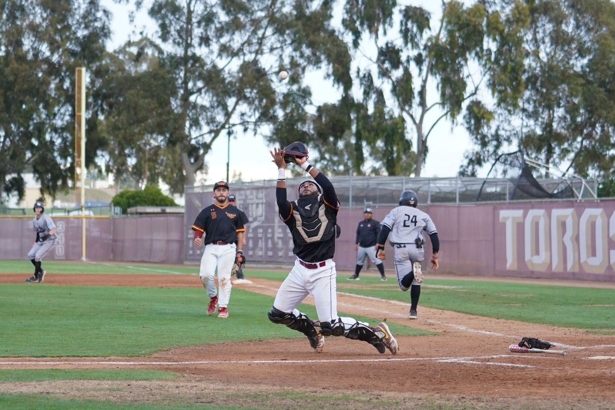 Nigel Catcher Pop Up