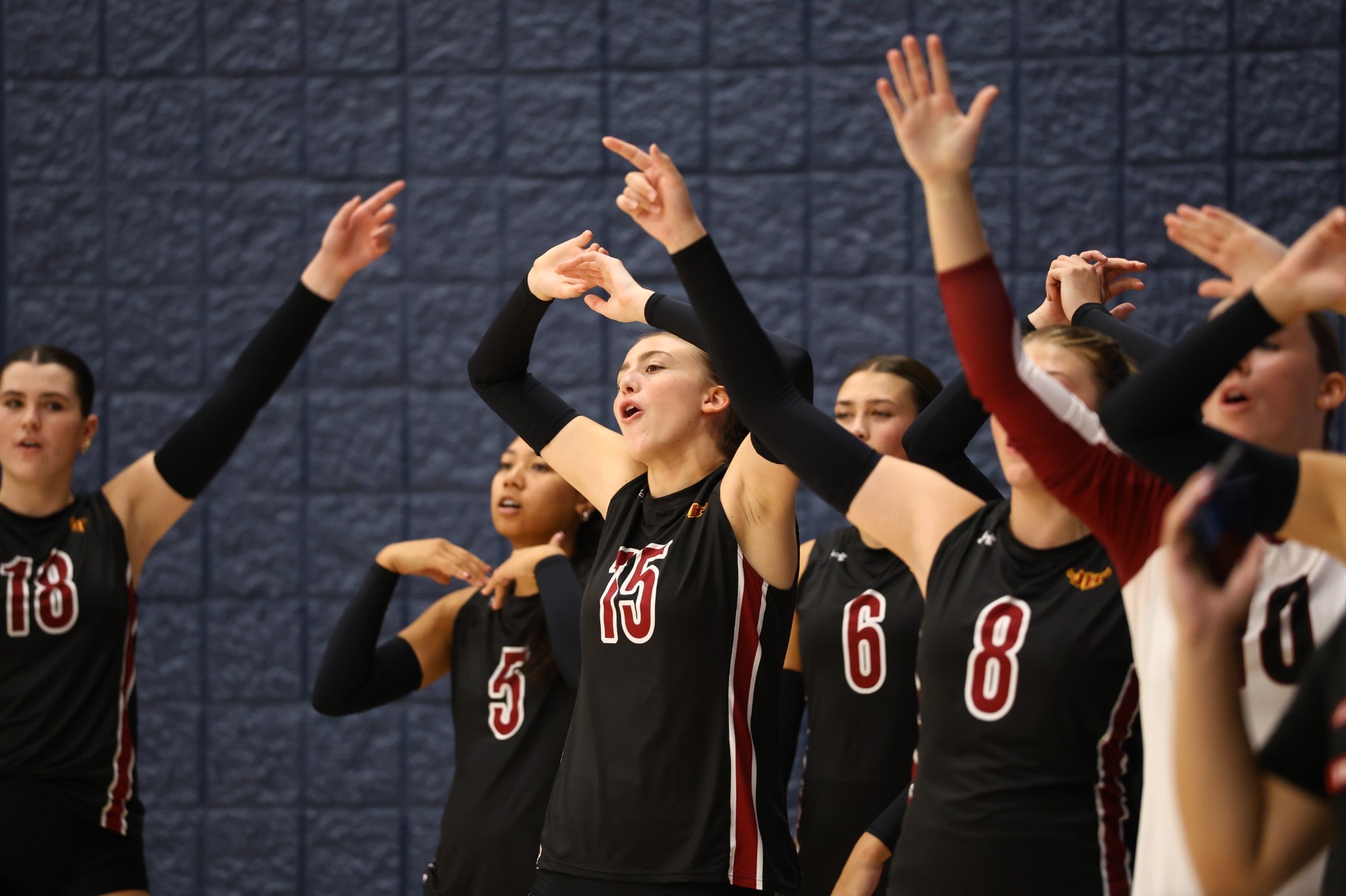 vb 2026 group