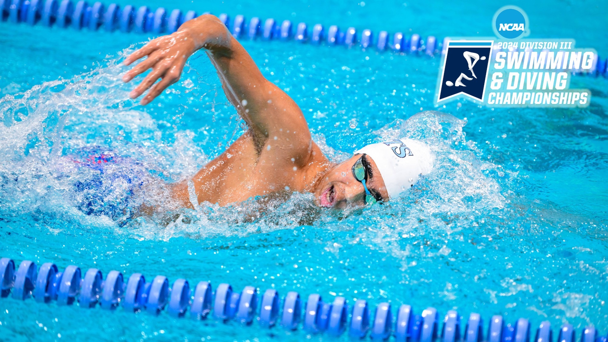 Ten Men's Swimmers Qualify for NCAA Championships Tufts University