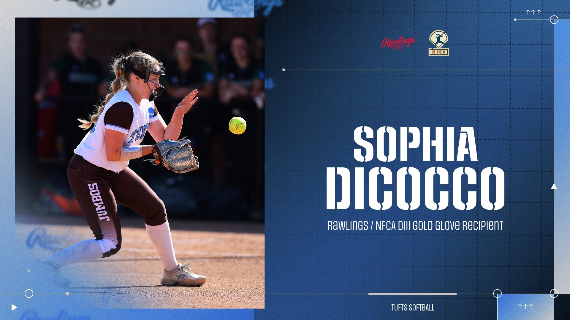 This is the graphic for Sophia DiCocco winning her third Gold Glove.