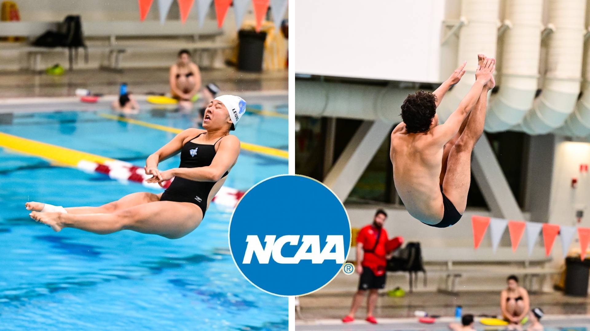 This is the graphic for Tufts' NCAA Diving Regional preview