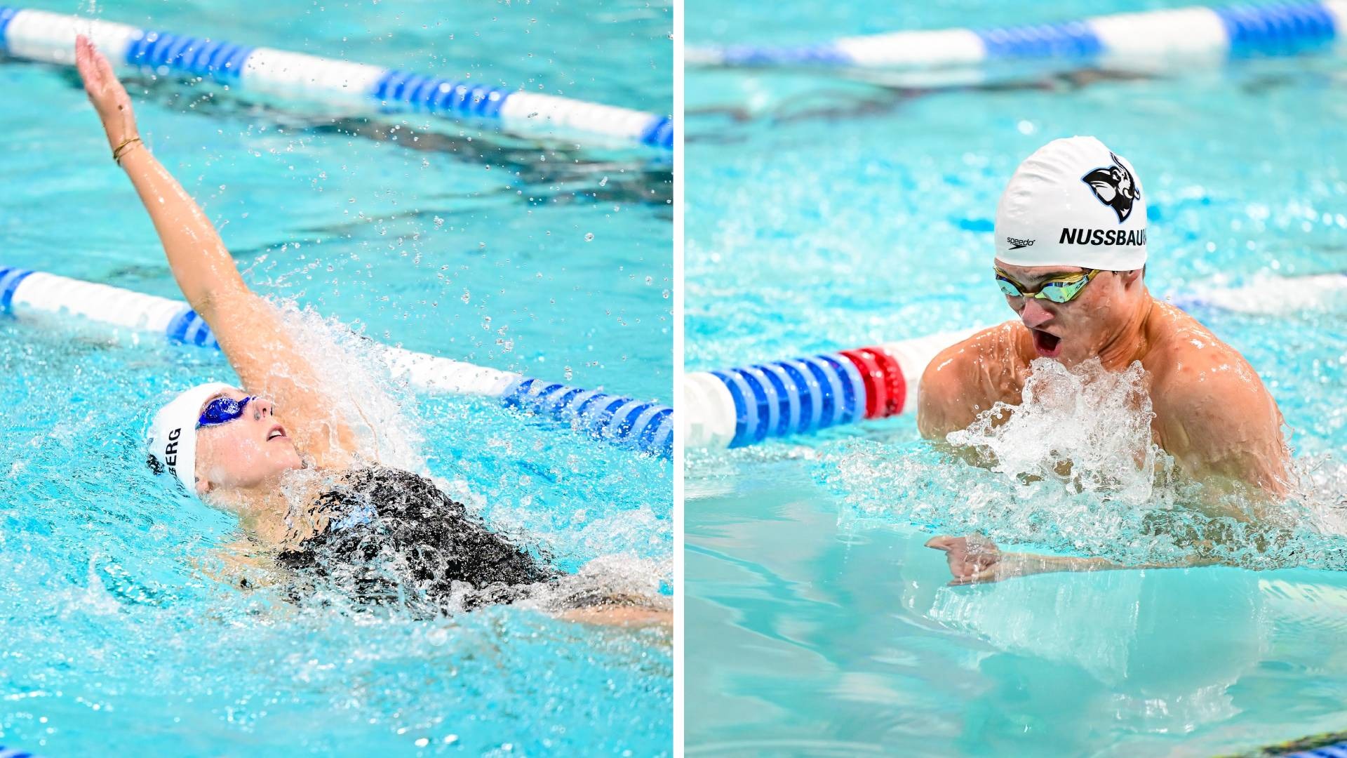 This is the Swimming & Diving Top National Marks Release thru January Graphic.