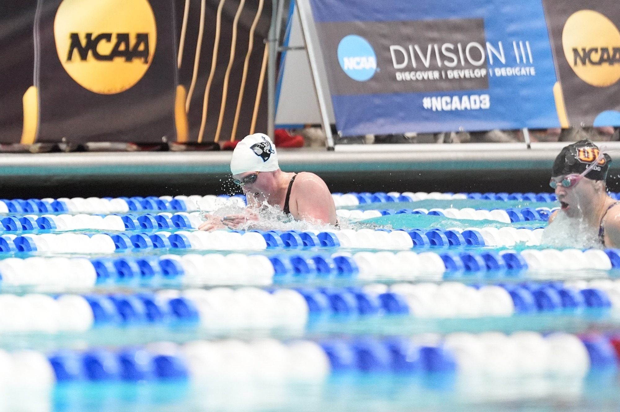 Madeleine Dunn competes in the 400 IM at the NCAA Championship meet.