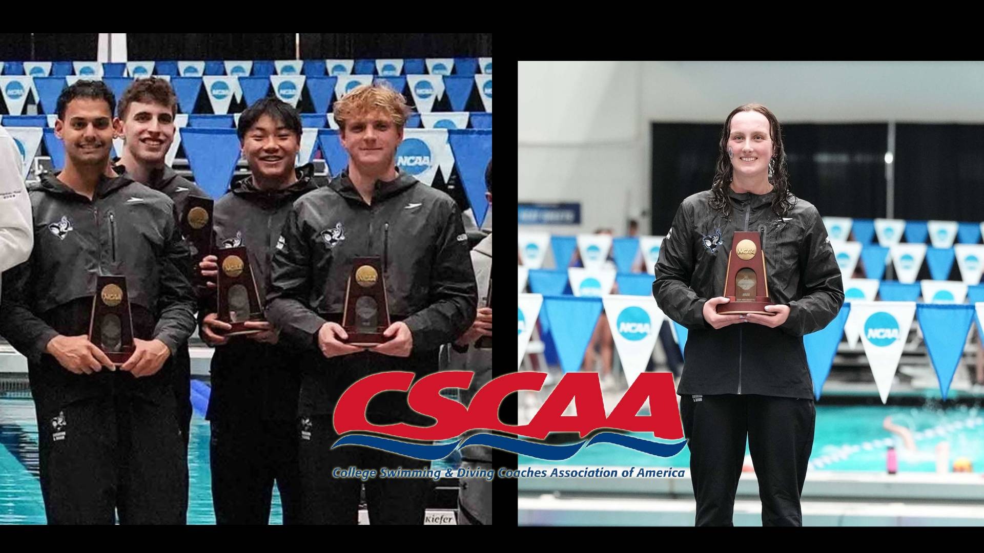 This is the graphic for Tufts' CSCAA All-Americans release